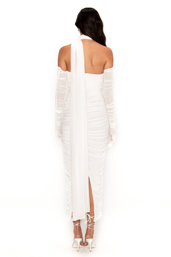 D375 - Image 3