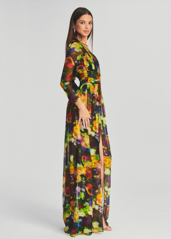 D491 - Image 4