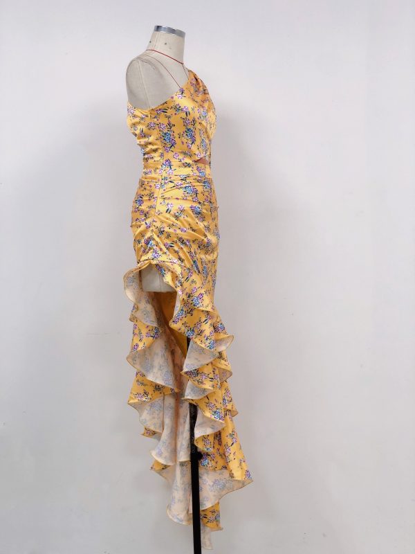 D487 - Image 5