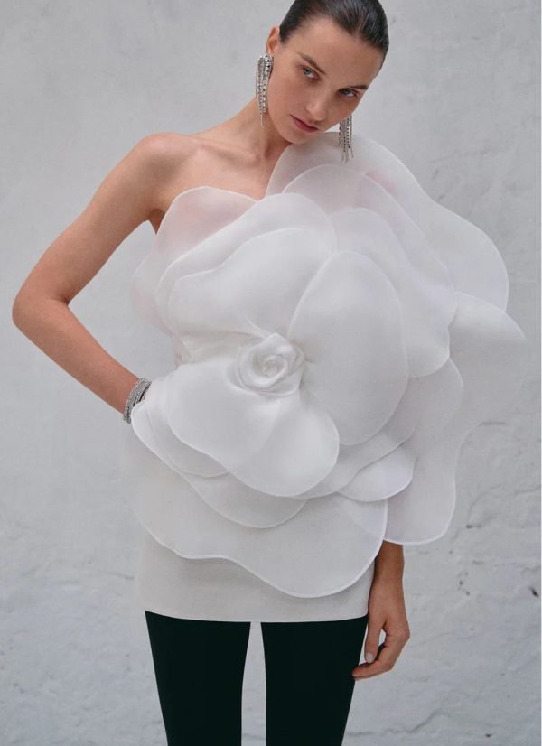 D507 - Image 4