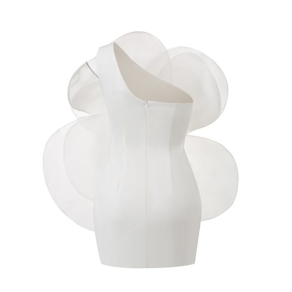 D507 - Image 6