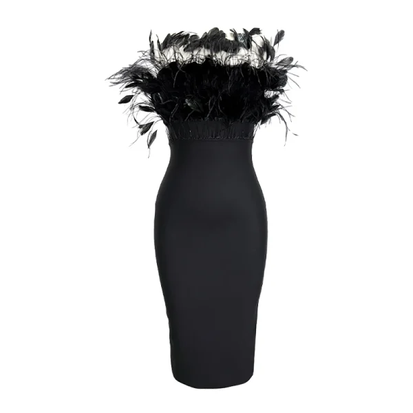 B2049 - Image 5