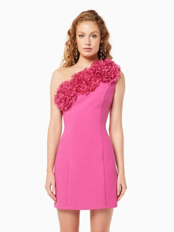 D547 - Image 2