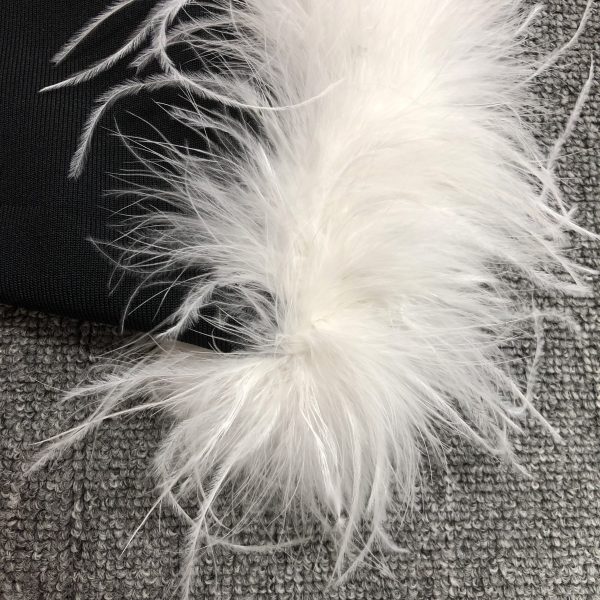 B2088 - Image 5
